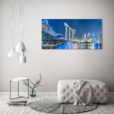 Akril üveg kép Singapore éjjel