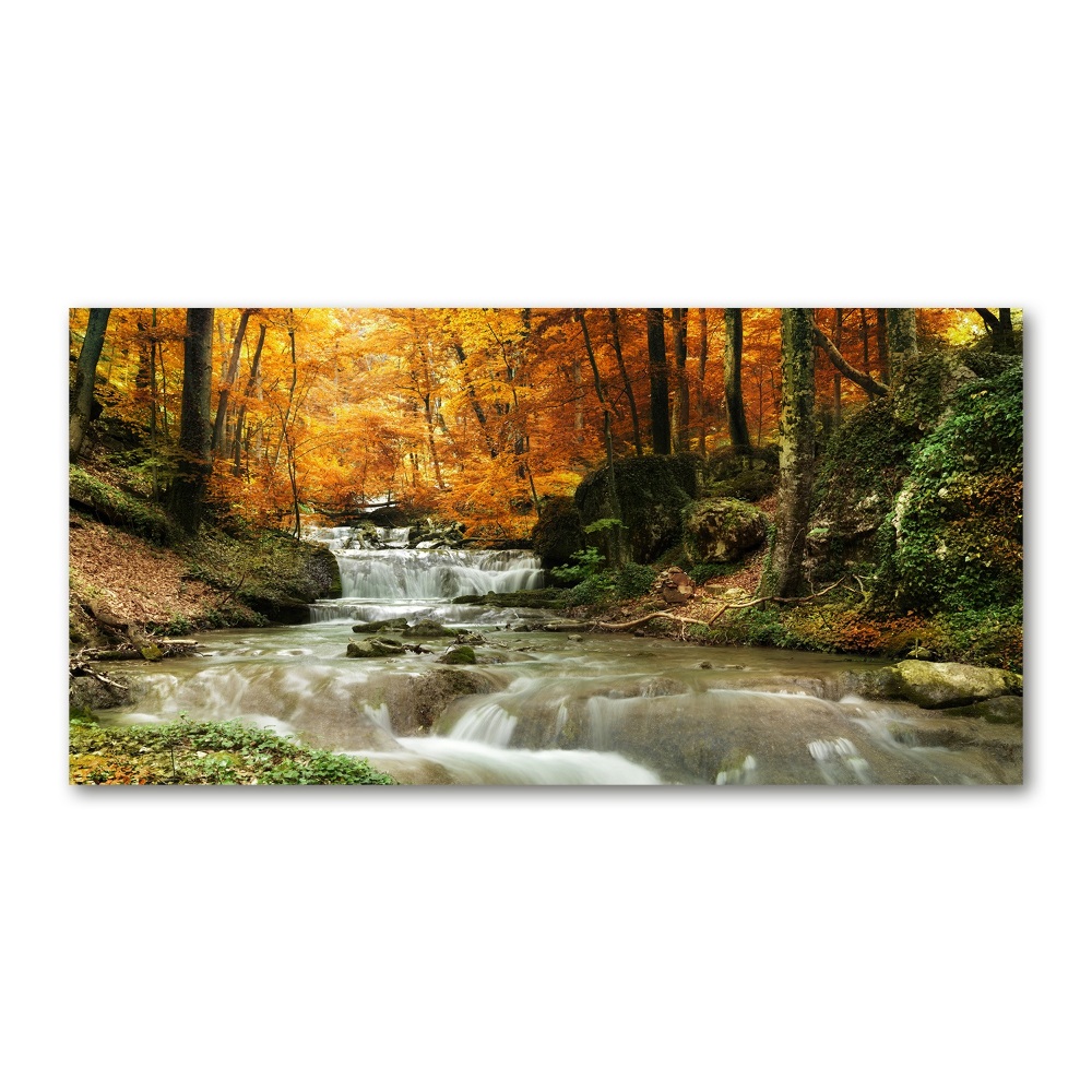Akril üveg kép Vízesés az erdőben
