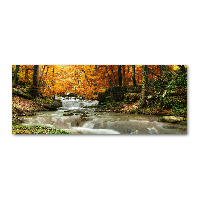 Akril üveg kép Vízesés az erdőben