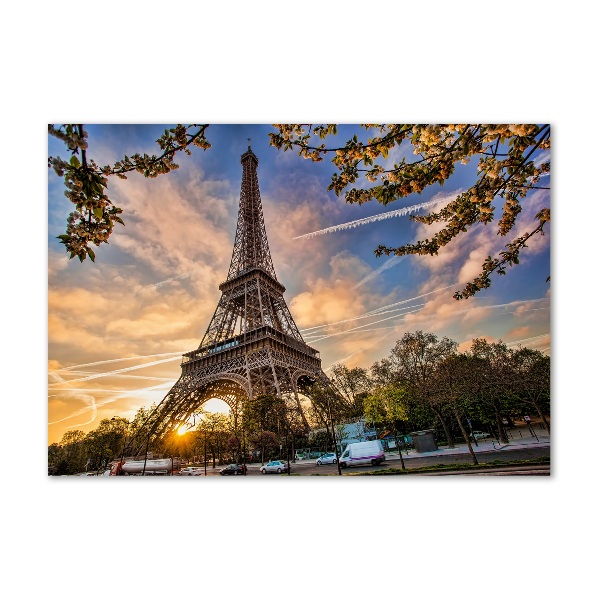 Akrilüveg fotó Párizsi eiffel-torony