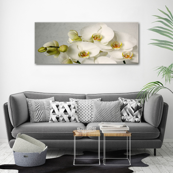 Akrilkép Fehér orchidea