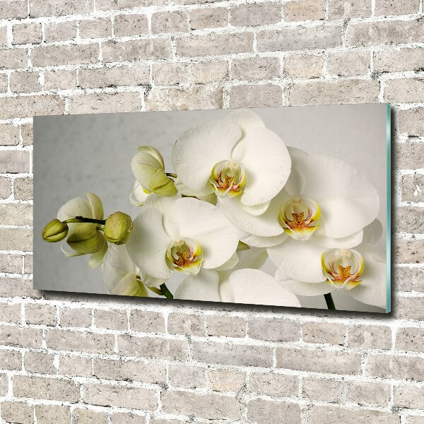 Akrilkép Fehér orchidea