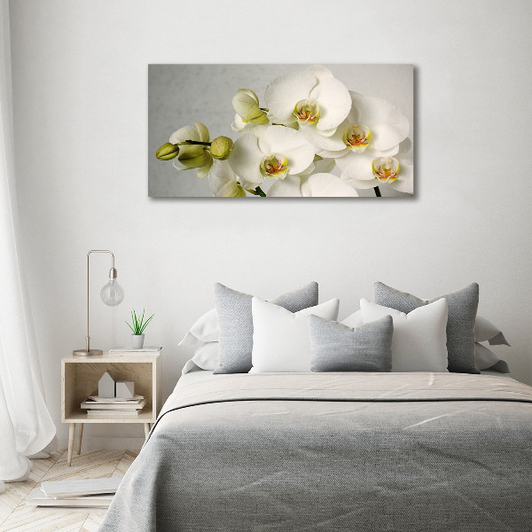Akrilkép Fehér orchidea