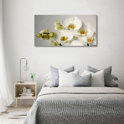 Akrilkép Fehér orchidea