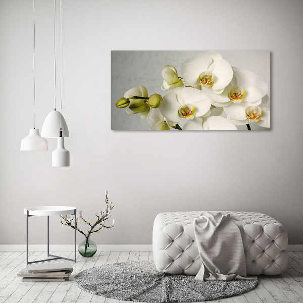 Akrilkép Fehér orchidea