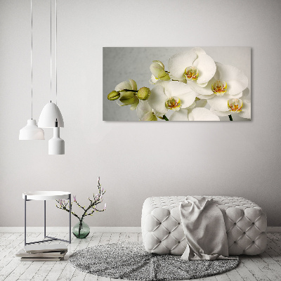 Akrilkép Fehér orchidea