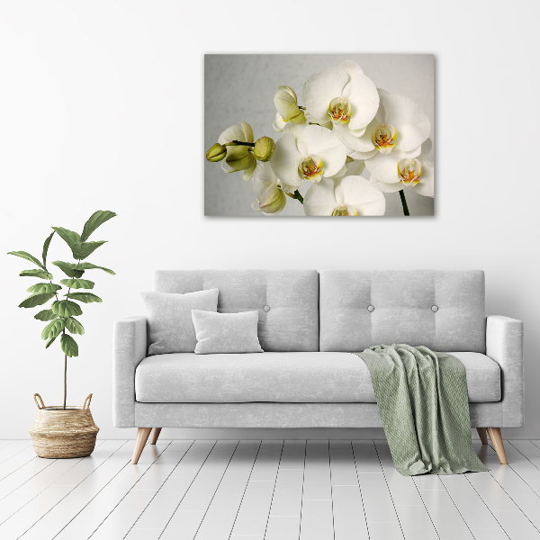 Akrilkép Fehér orchidea