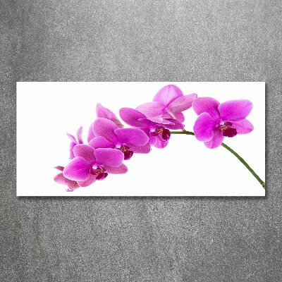 Akrilkép Rózsaszín orchidea