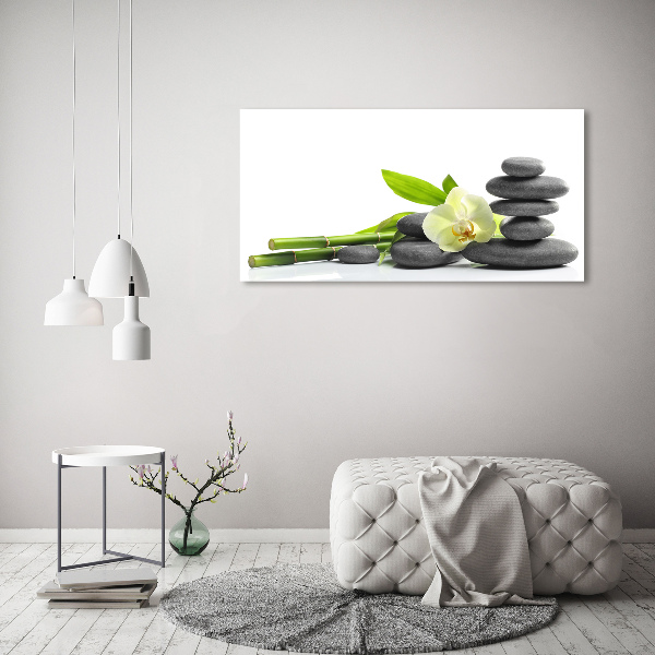 Akrilkép Orchidea