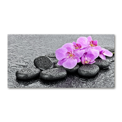 Akrilkép Orchideák kövek