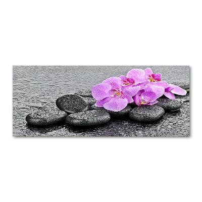 Akrilkép Orchideák kövek