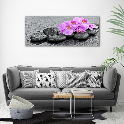 Akrilkép Orchideák kövek
