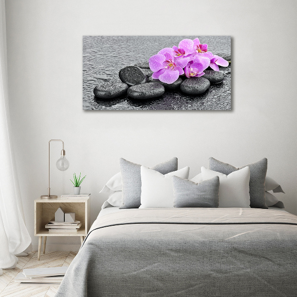 Akrilkép Orchideák kövek