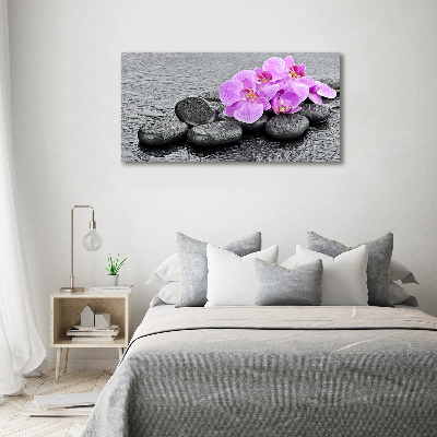 Akrilkép Orchideák kövek