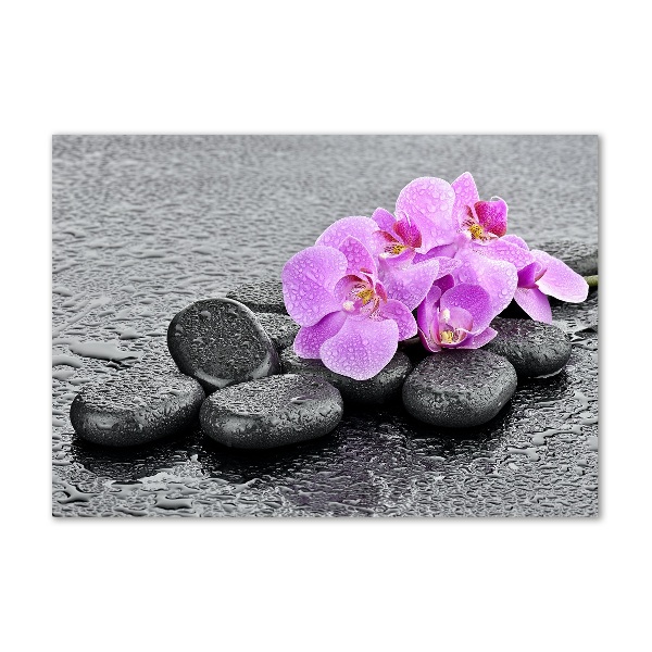 Akrilkép Orchideák kövek