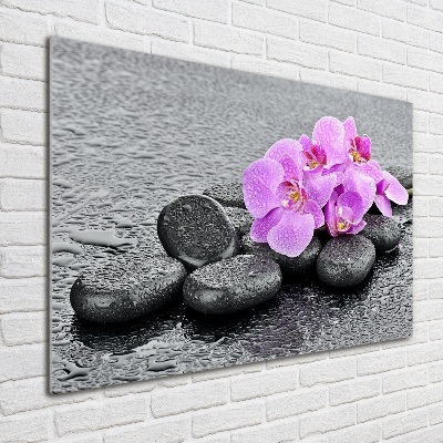 Akrilkép Orchideák kövek
