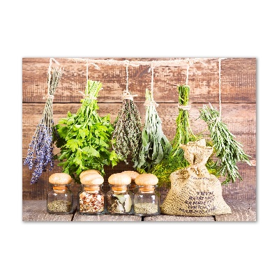 Akril üveg kép Herbs egy húr