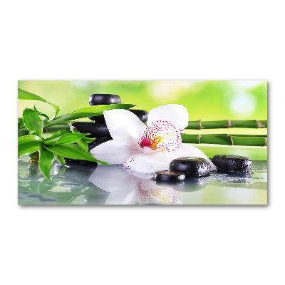 Akrilkép Orchidea