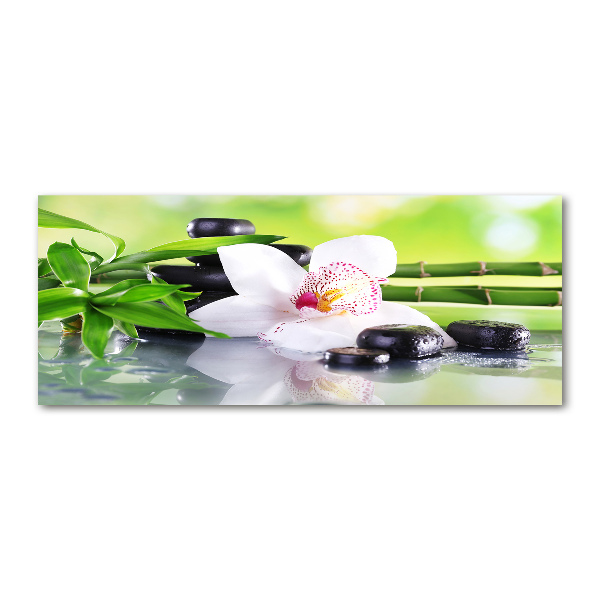 Akrilkép Orchidea