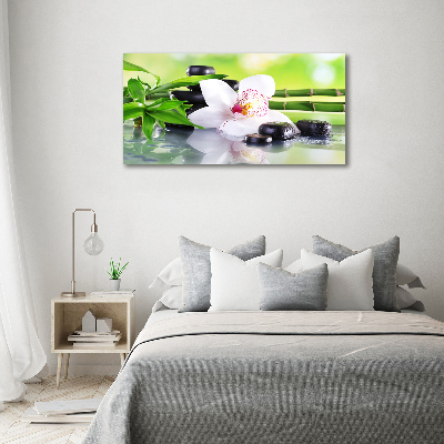 Akrilkép Orchidea