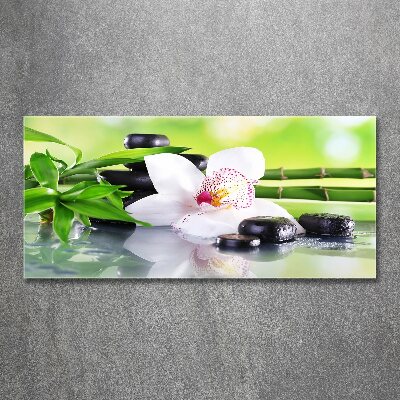 Akrilkép Orchidea