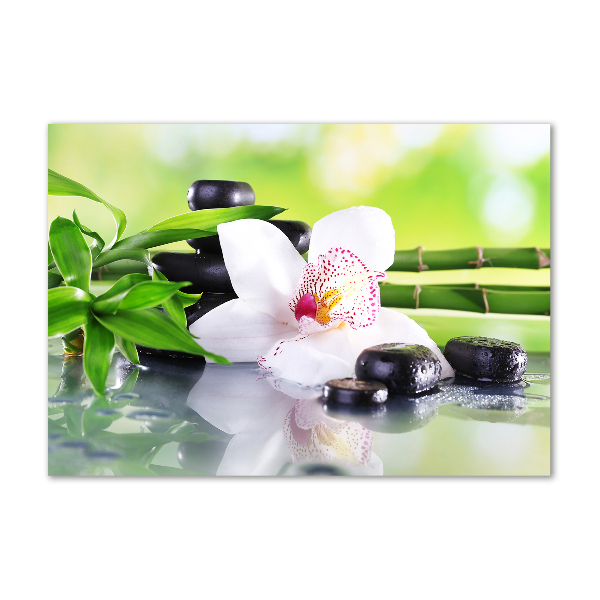 Akrilkép Orchidea