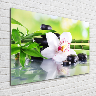 Akrilkép Orchidea