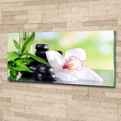 Akrilkép Orchidea