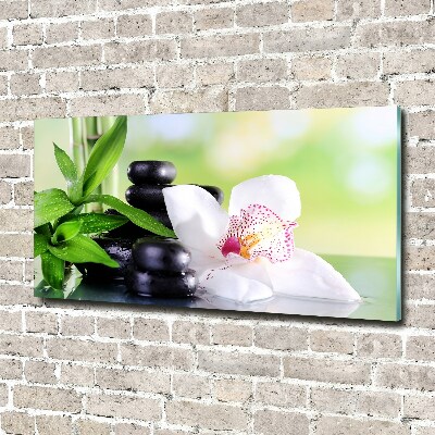 Akrilkép Orchidea