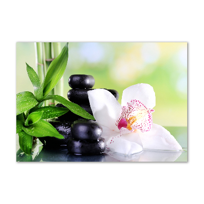 Akrilkép Orchidea