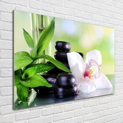 Akrilkép Orchidea