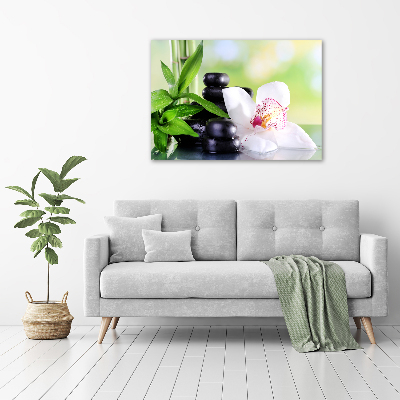 Akrilkép Orchidea