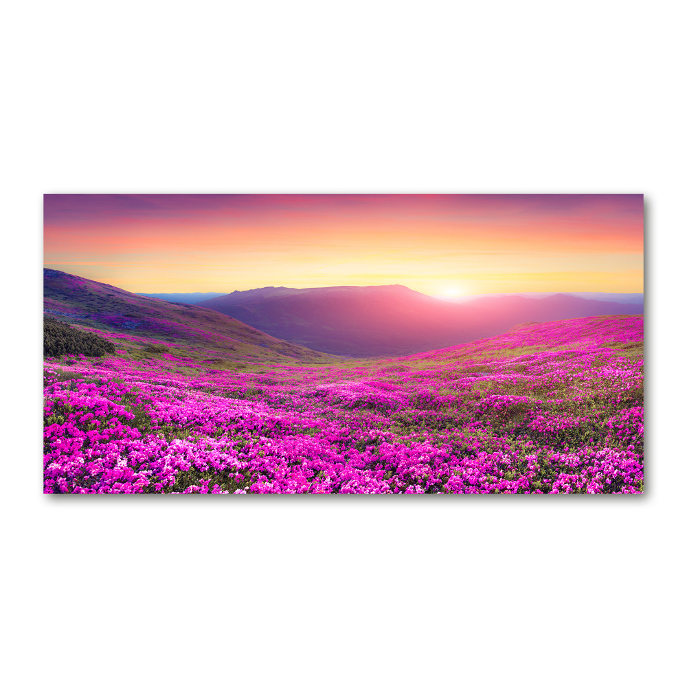Akril üveg kép Rózsaszín domb