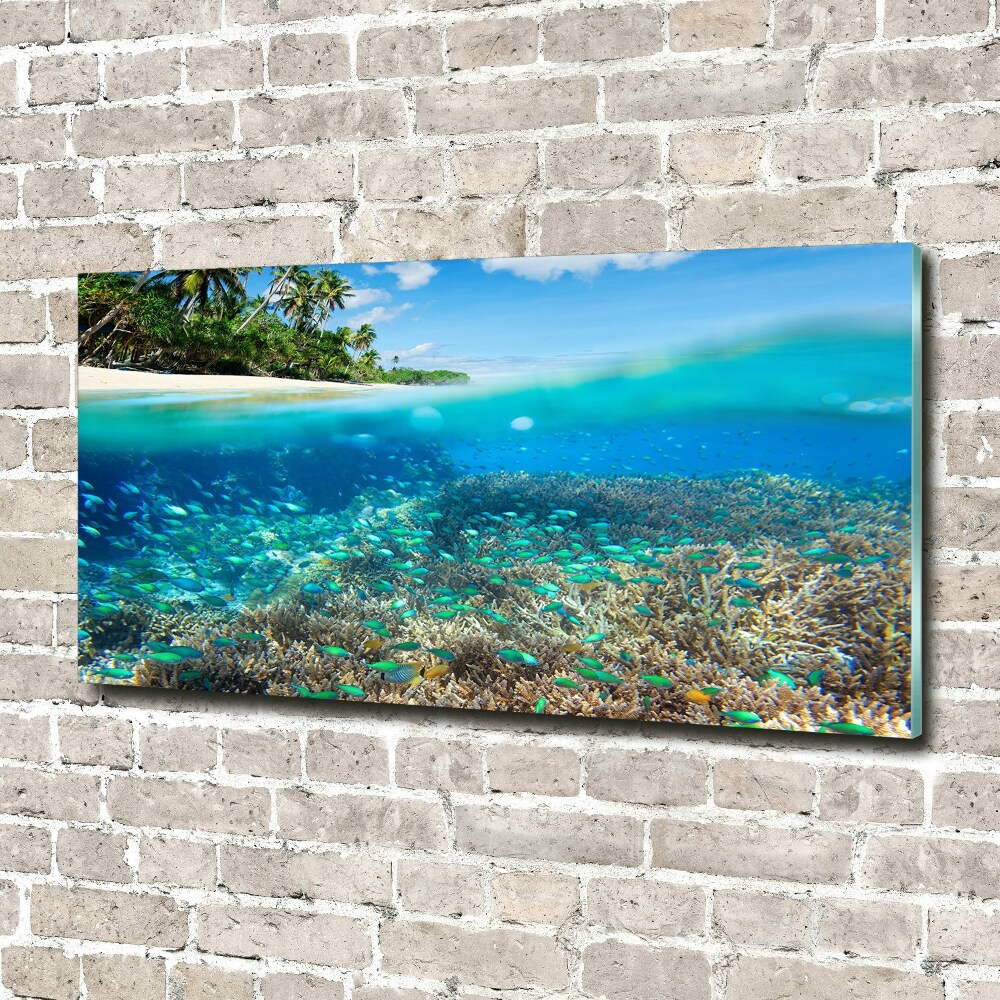 Akril üveg kép Korallzátony
