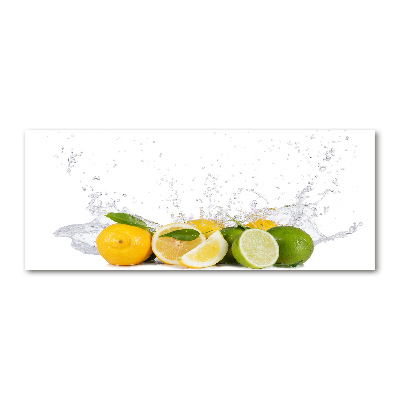 Akril üveg kép Citrusfélék és a víz