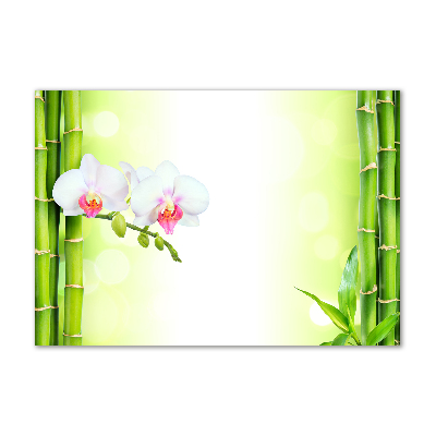 Akrilkép Orchidea és bambusz