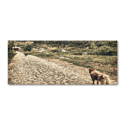 Akrilkép Két kutya a hegyen