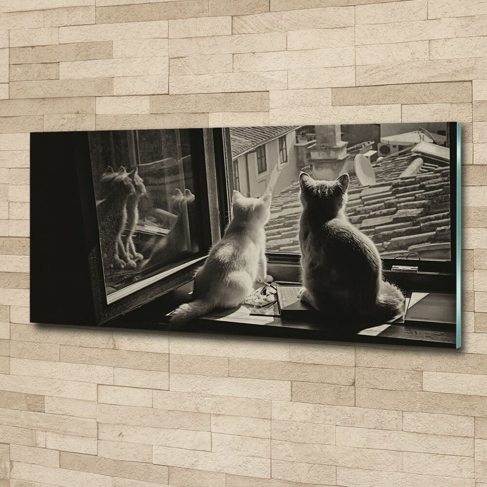 Akrilkép Macskák az ablakban