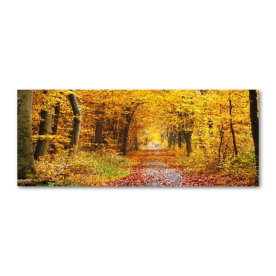 Akril üveg kép Erdő ősszel