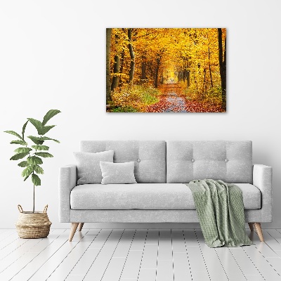 Akril üveg kép Erdő ősszel