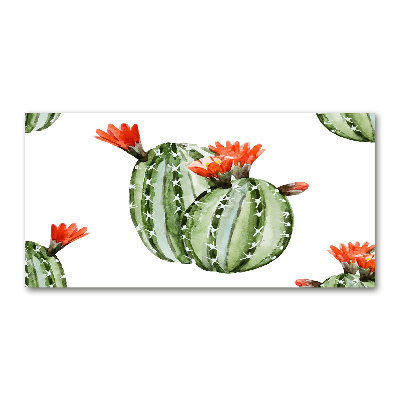 Akril üveg kép Kaktuszok
