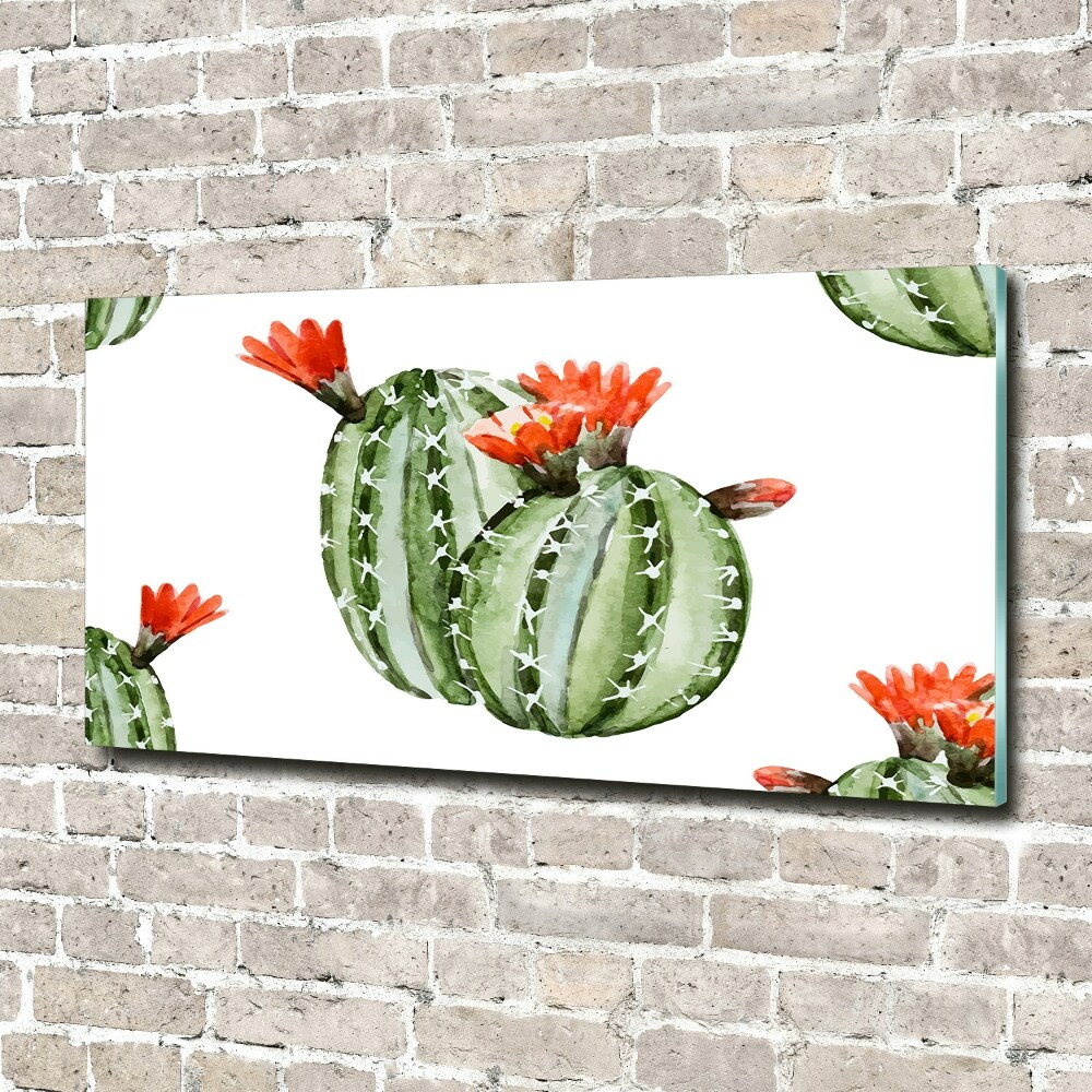 Akril üveg kép Kaktuszok