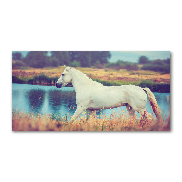 Akrilkép White horse-tó