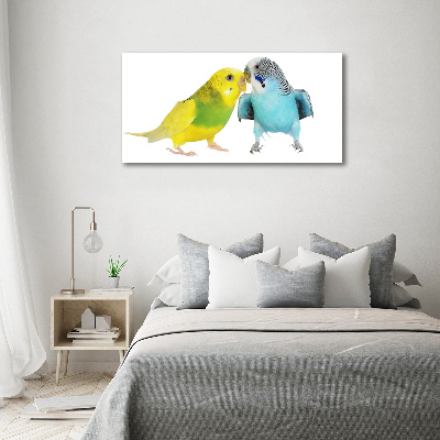 Akrilkép Budgies