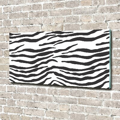 Akrilüveg fotó Zebra háttér