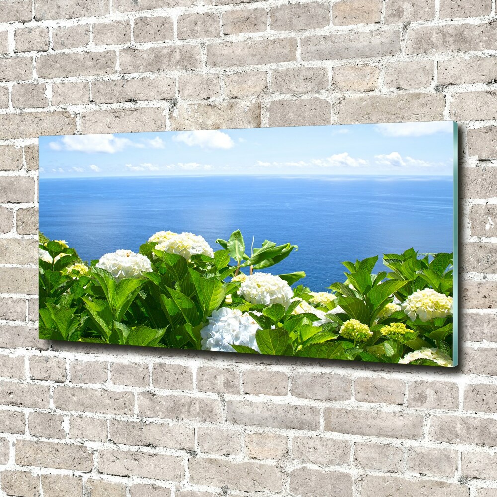Akril üveg kép Virágok a tengerparton
