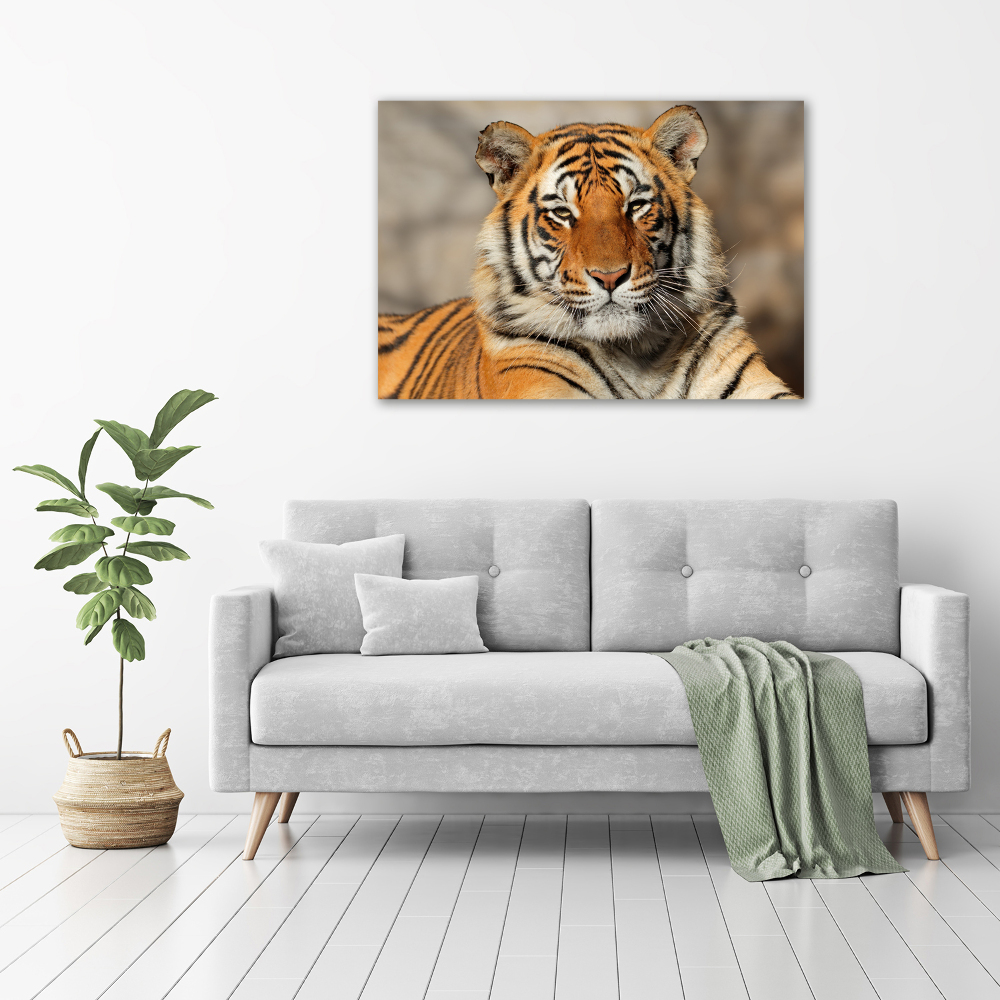 Akrilkép Bengáli tigris