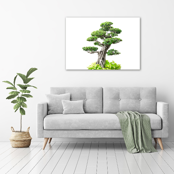 Akrilkép Bonsai fa