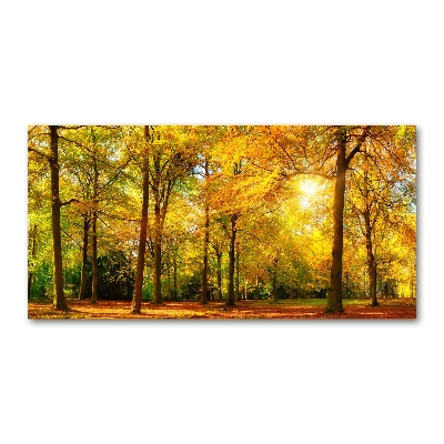 Akrilüveg fotó Erdő ősszel