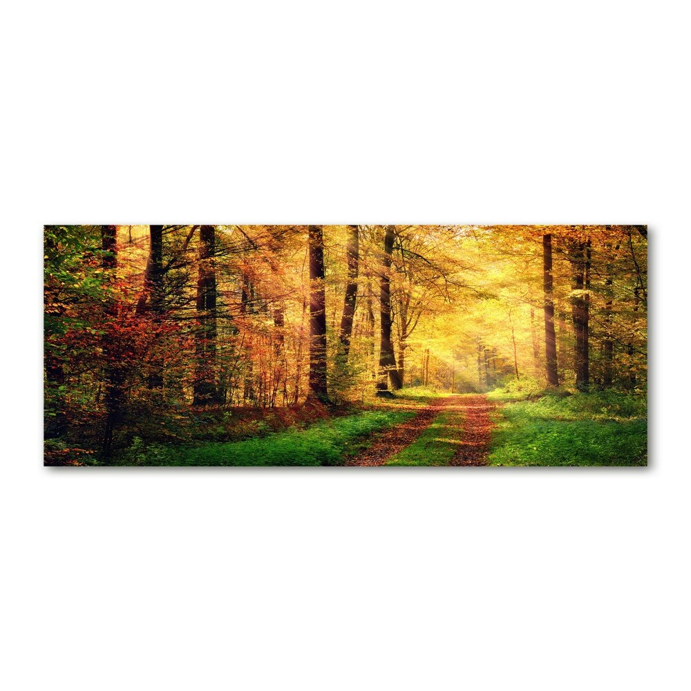 Akrilüveg fotó Erdő ősszel